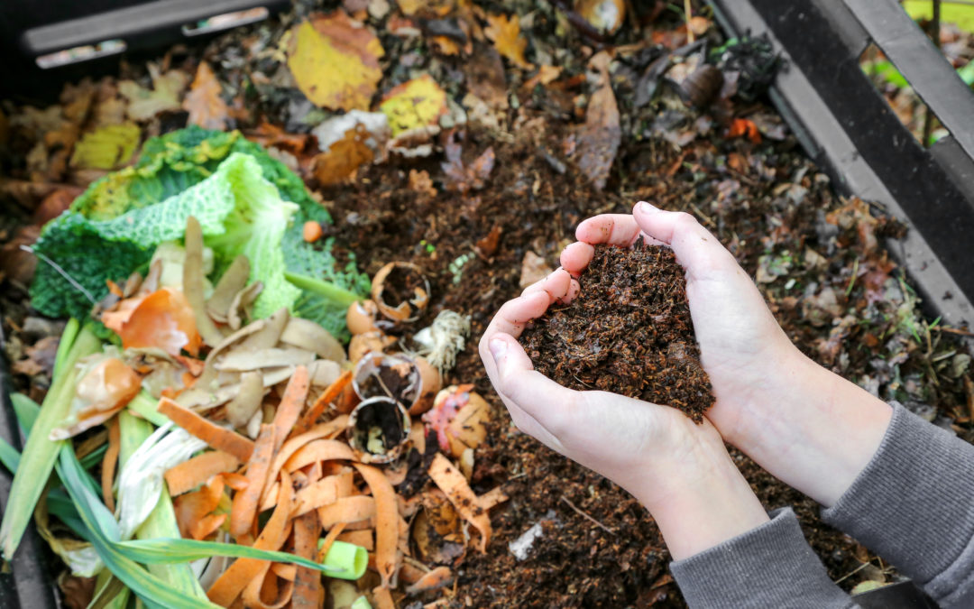 Composter, c’est gagner !