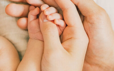 Conférence : post-partum