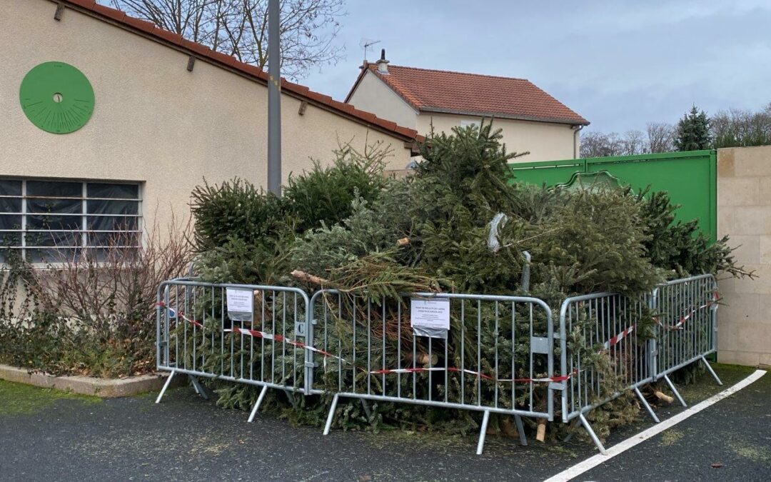 Où déposer votre sapin ?